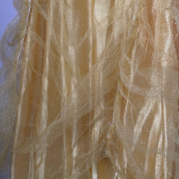 Belle Princess Costume - Picture 5 of 15